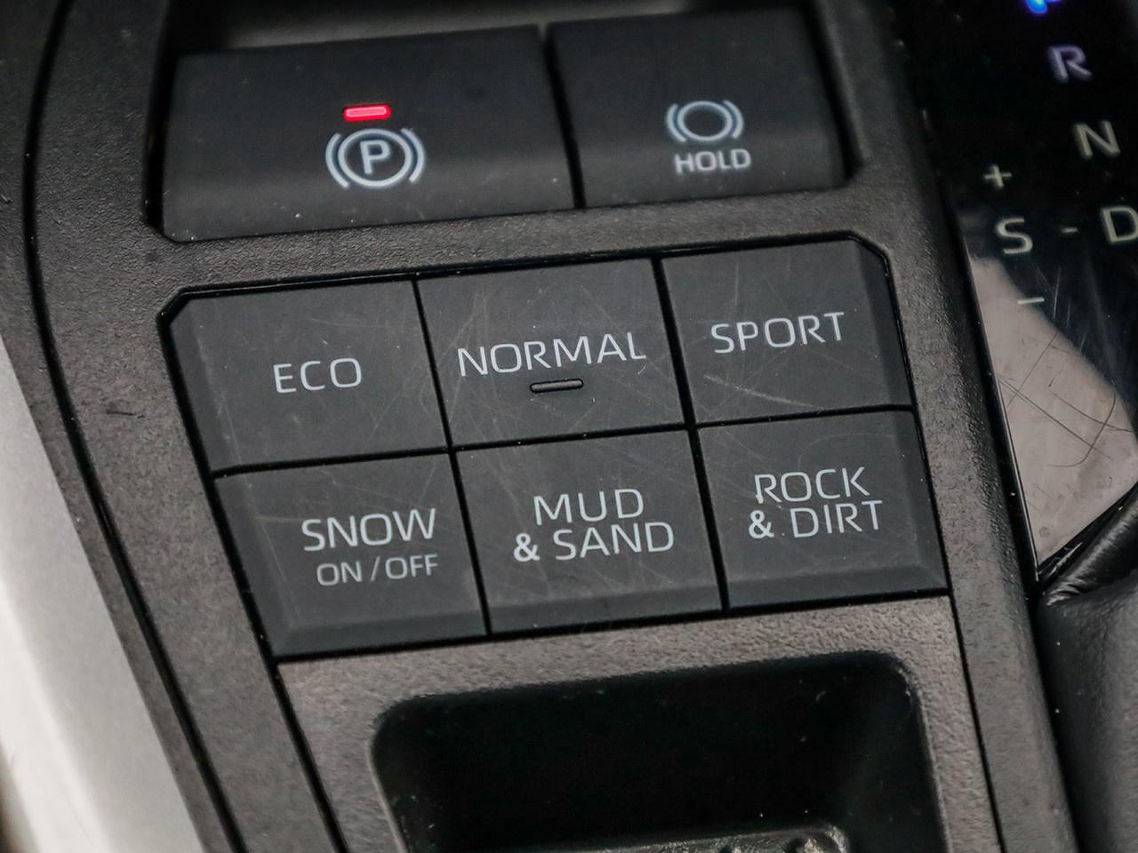 2024 Toyota RAV4 LE Photo