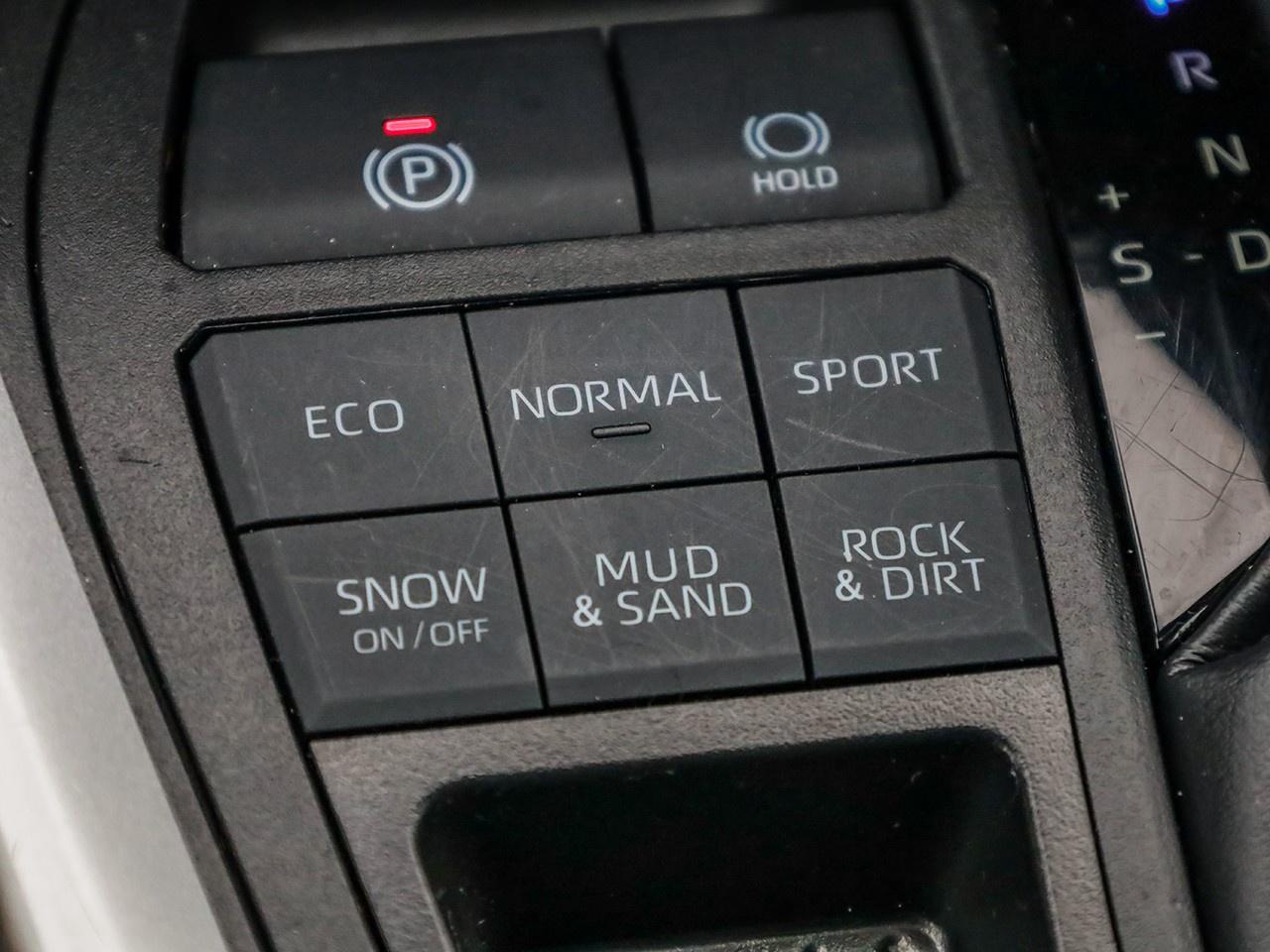 2024 Toyota RAV4 LE Photo