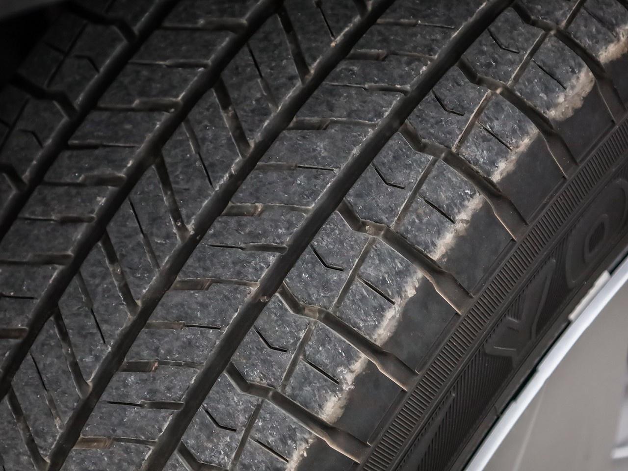 2024 Toyota RAV4 LE Photo