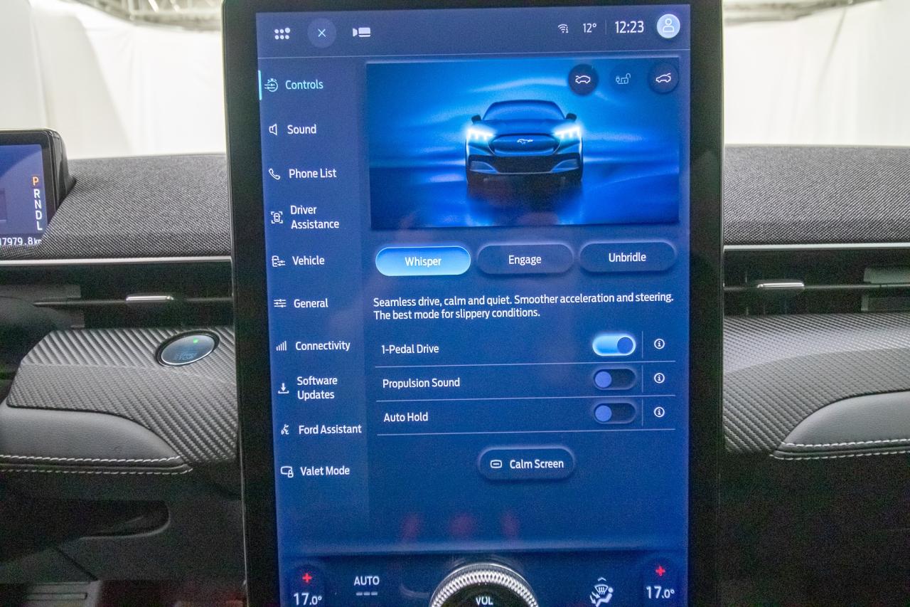 2023 Ford Mustang Mach-E Premium RWD Photo5