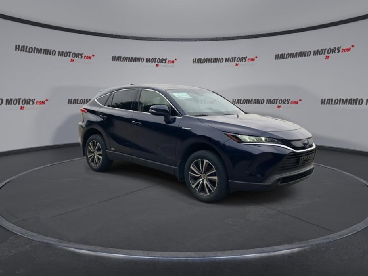 2021 Toyota Venza Hybrid Photo