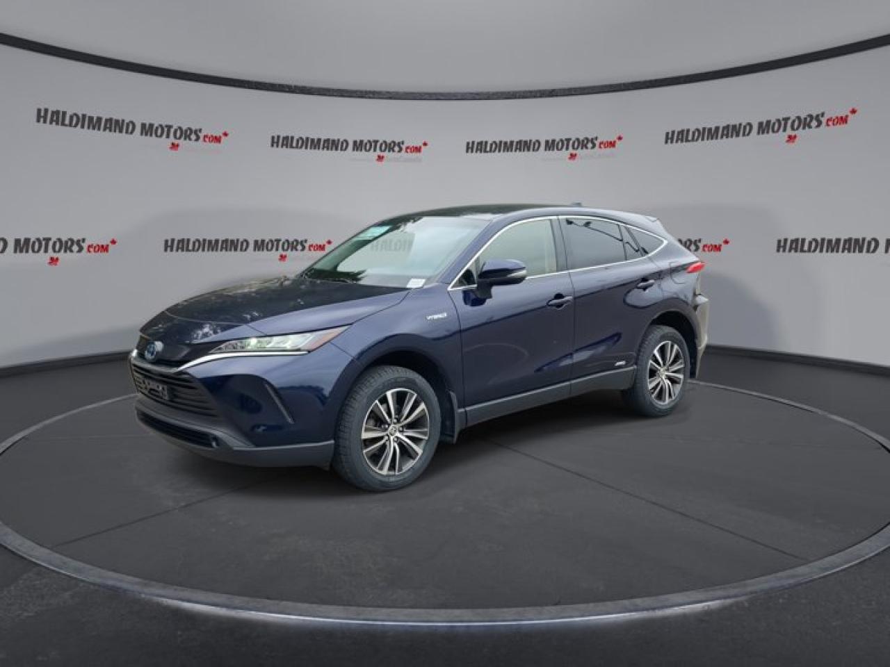 2021 Toyota Venza Hybrid Photo