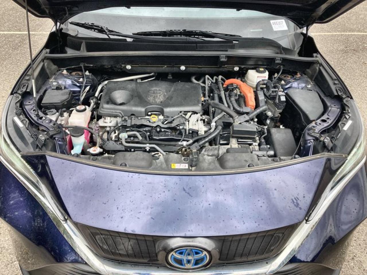 2021 Toyota Venza Hybrid Photo