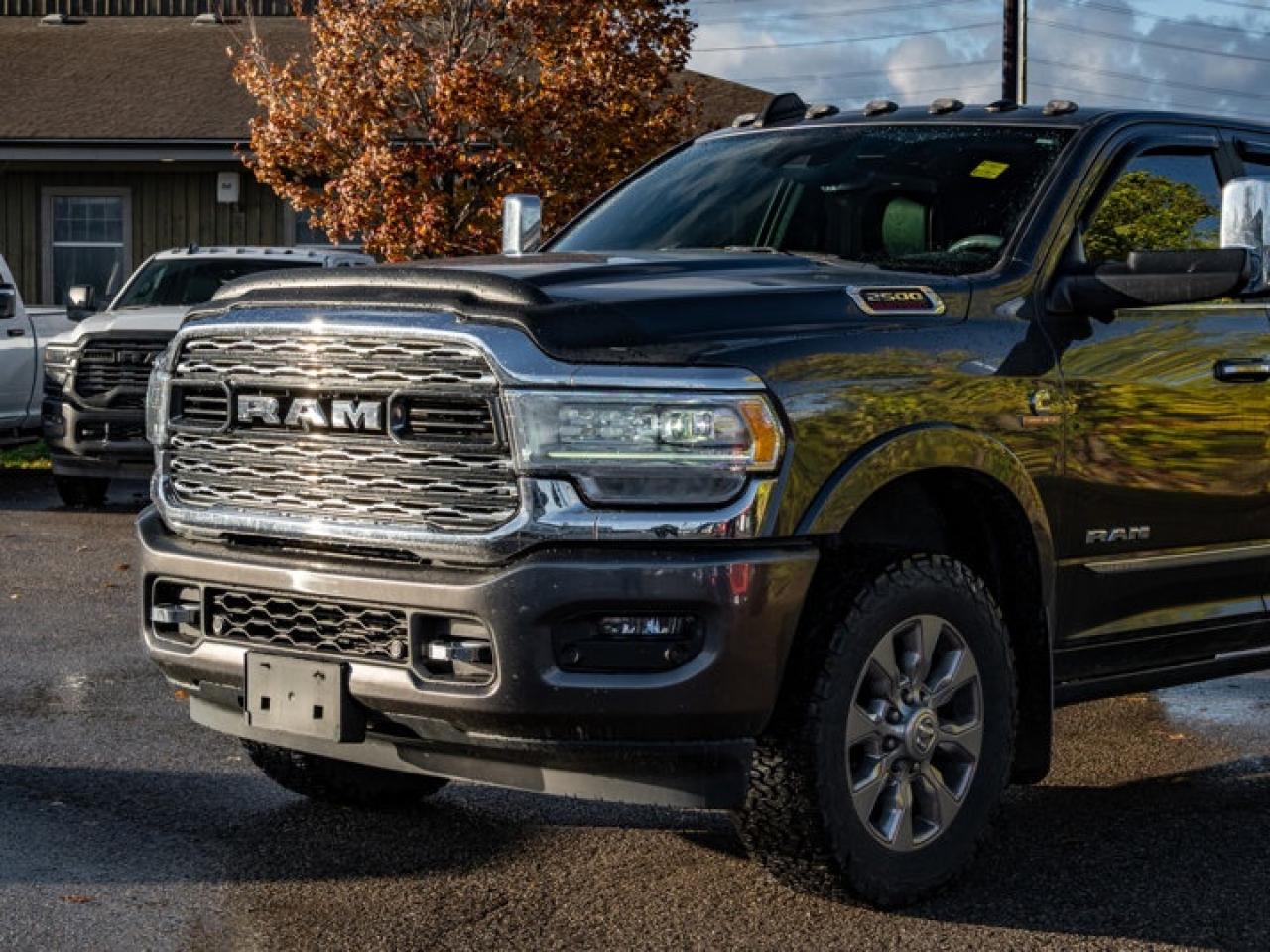 2020 RAM 2500 Limited Photo