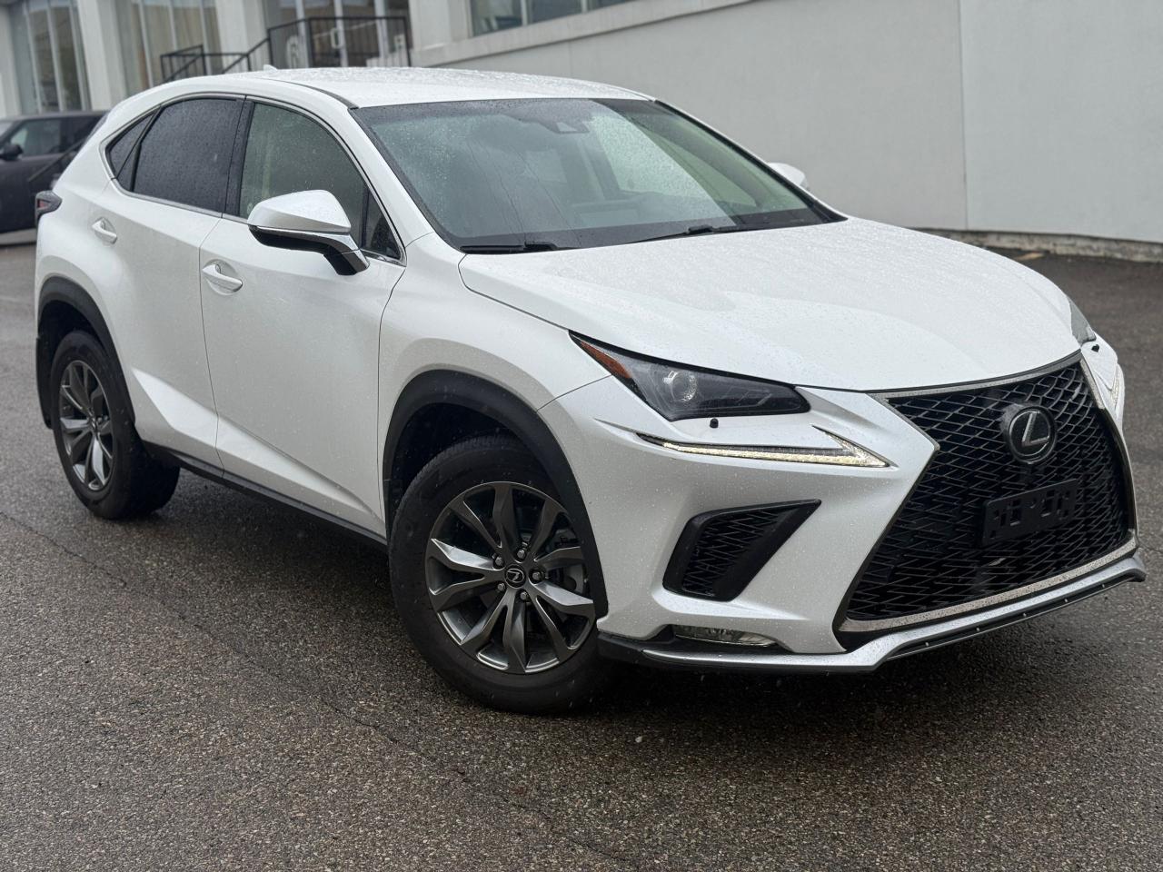 2019 Lexus NX NX 300 Auto Photo2