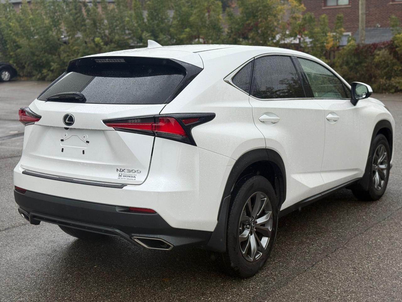 2019 Lexus NX NX 300 Auto Photo4