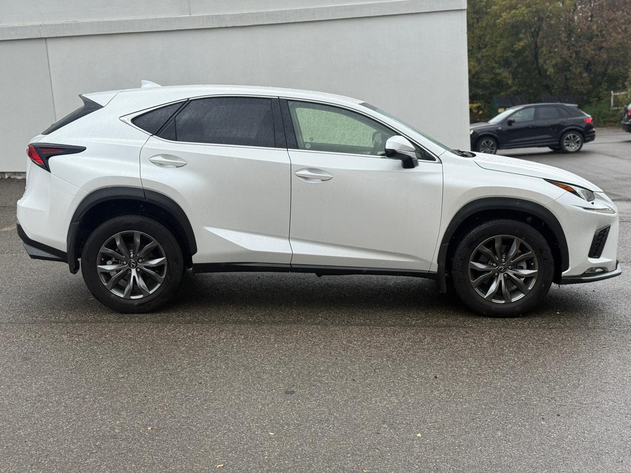 2019 Lexus NX NX 300 Auto - Photo #4