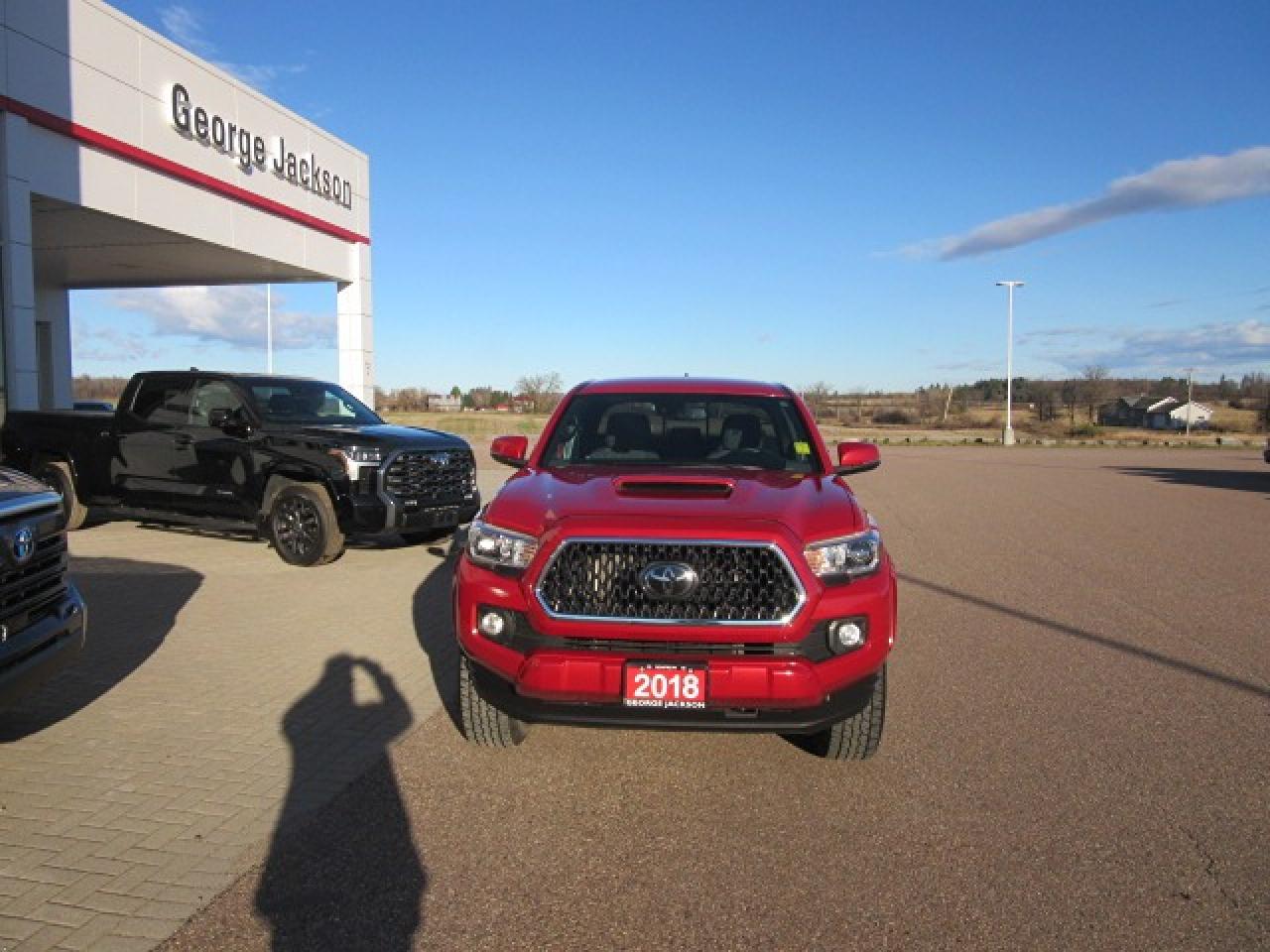 2018 Toyota Tacoma SR5 Photo