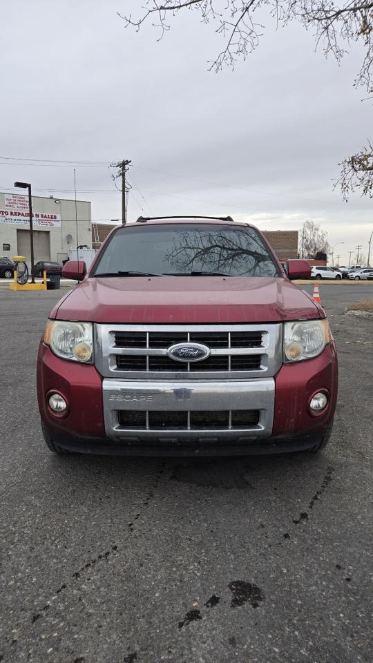 2009 Ford Escape Limited - Photo #5