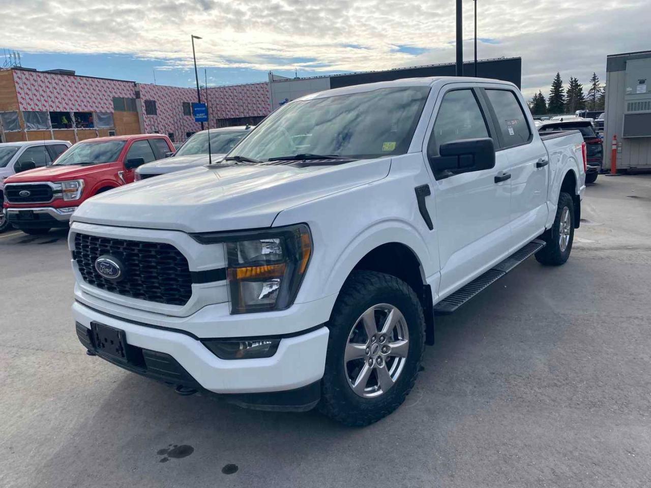 Used 2023 Ford F-150 4WD SuperCrew Box for sale in Brandon, MB