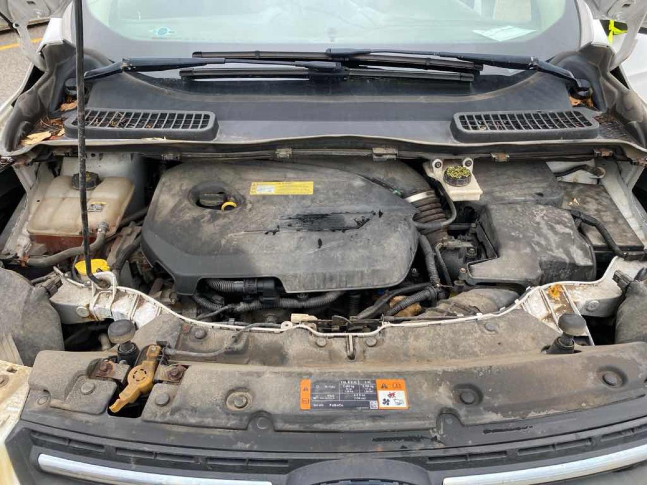 2013 Ford Escape SE Photo