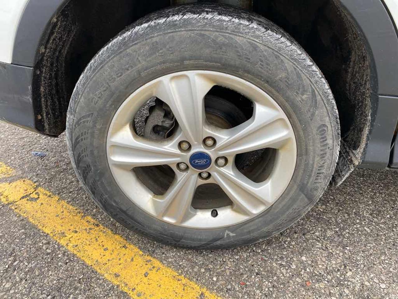 2013 Ford Escape SE Photo