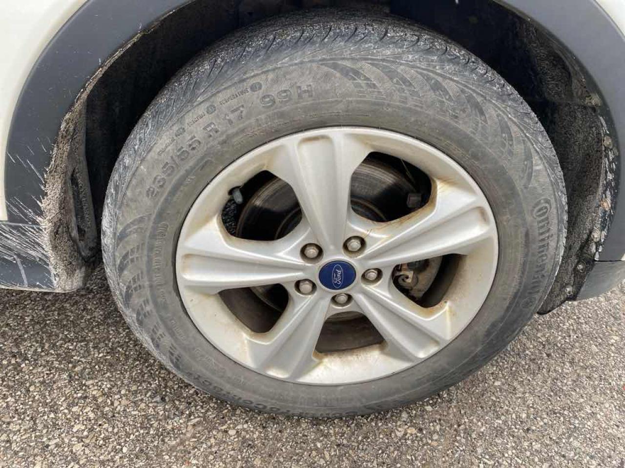 2013 Ford Escape SE Photo