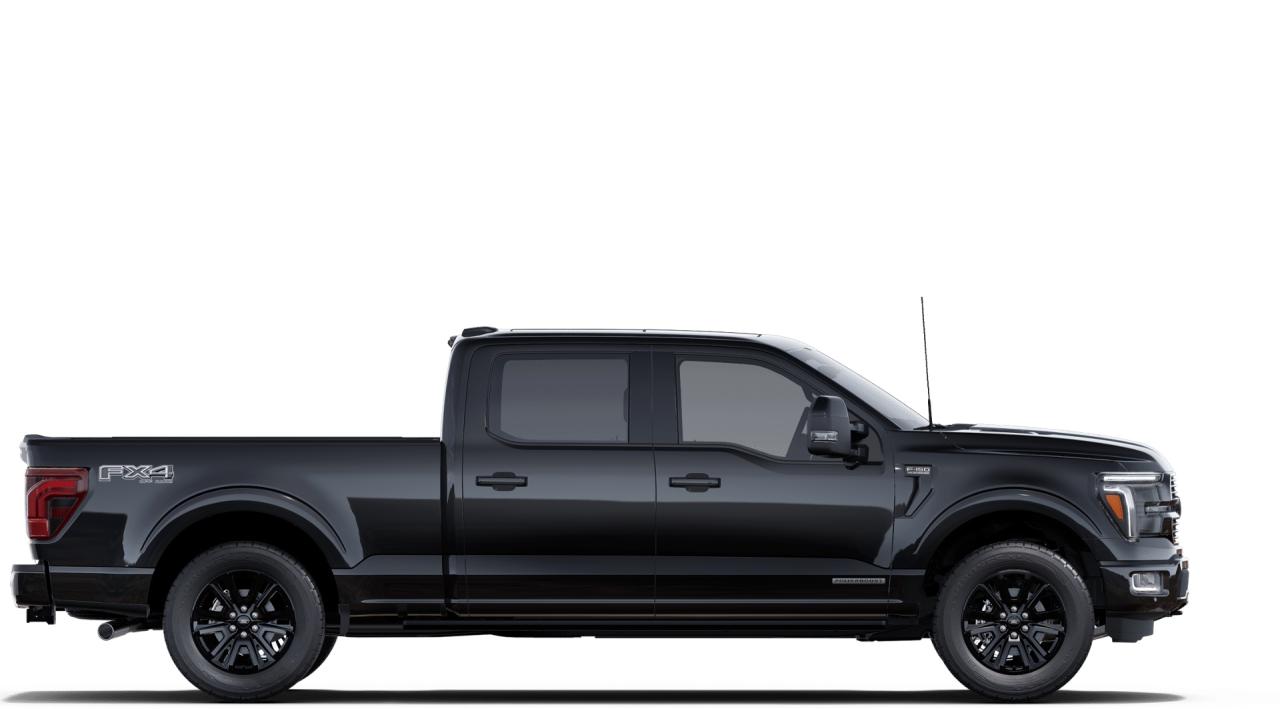 2025 Ford F-150 Platinum Photo4