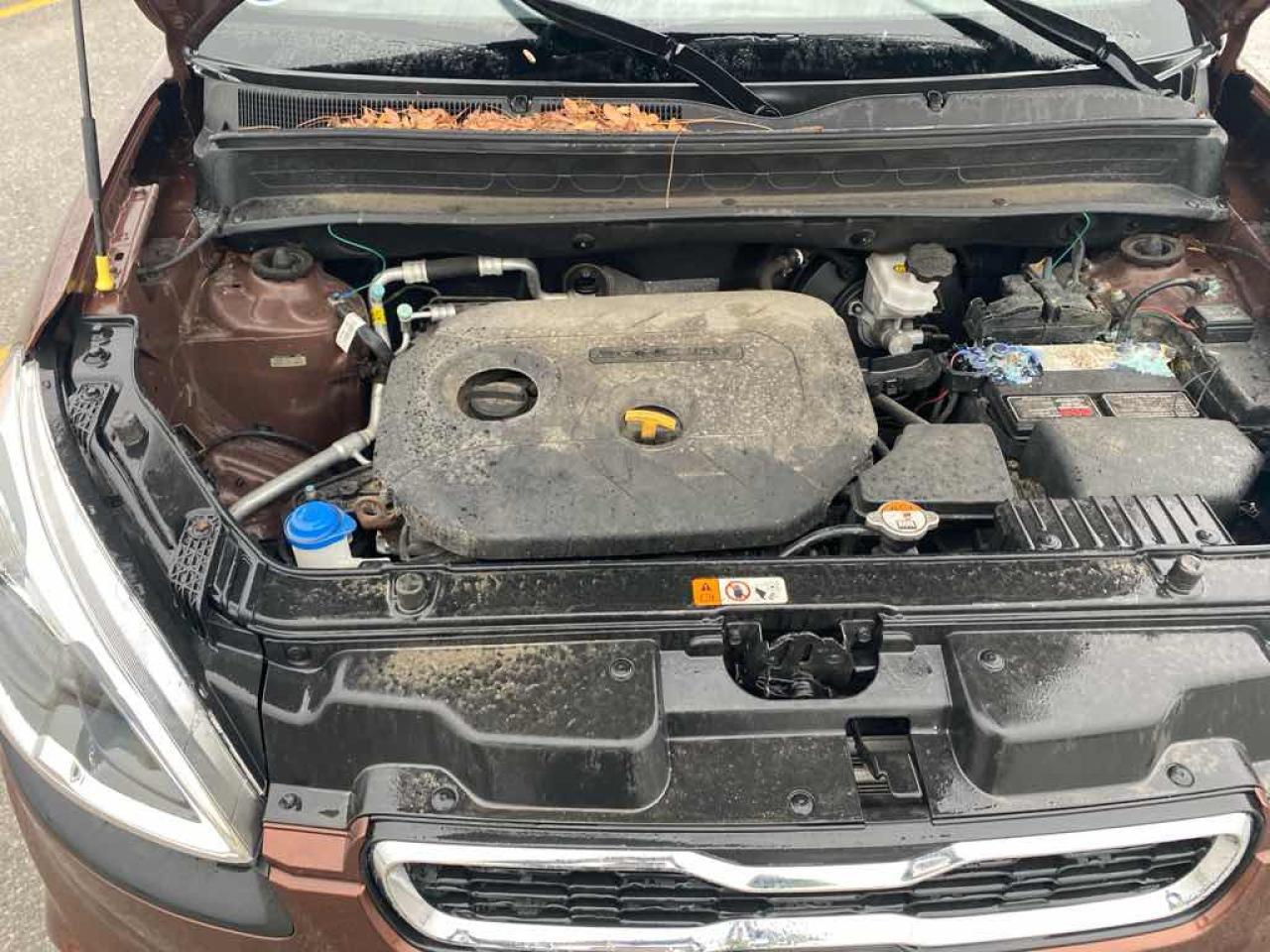 2012 Kia Soul  - Photo #7