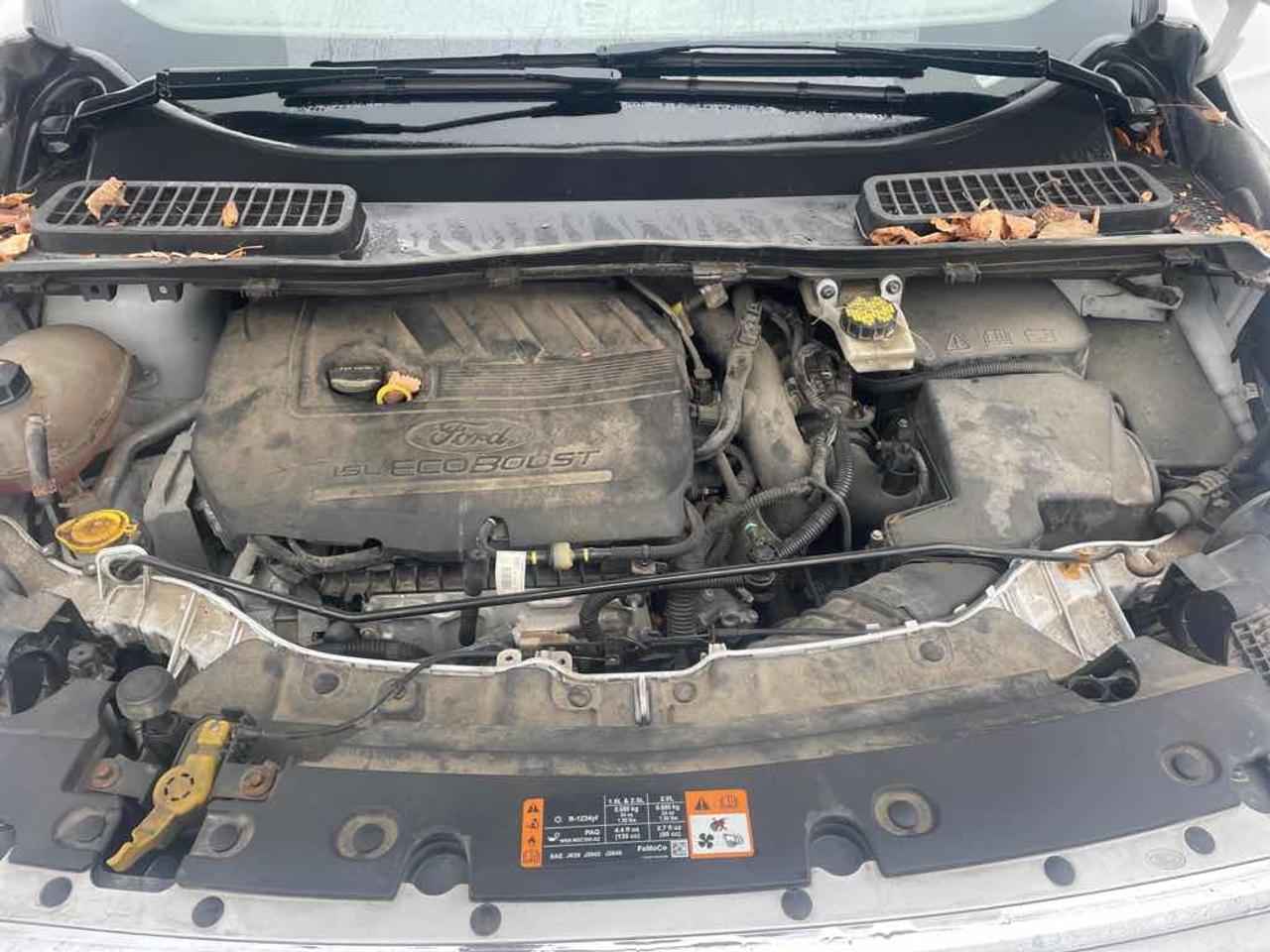 2017 Ford Escape SE Photo