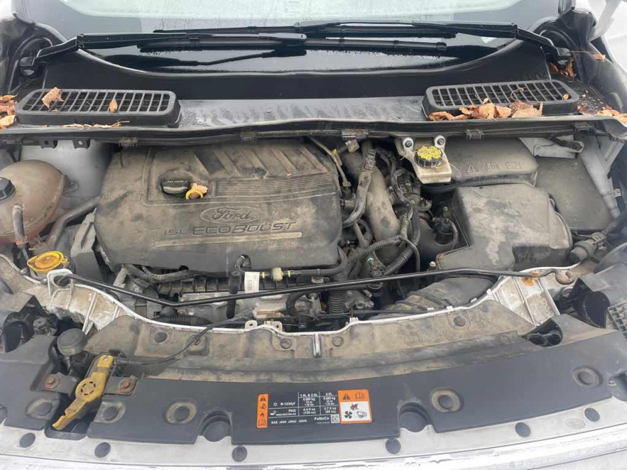 2017 Ford Escape SE - Photo #7