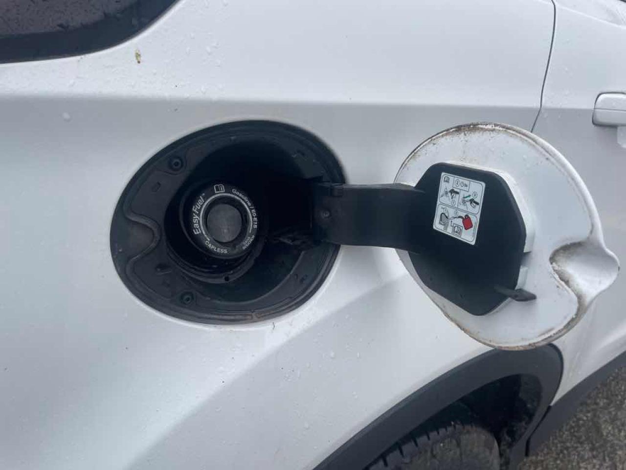 2017 Ford Escape SE Photo