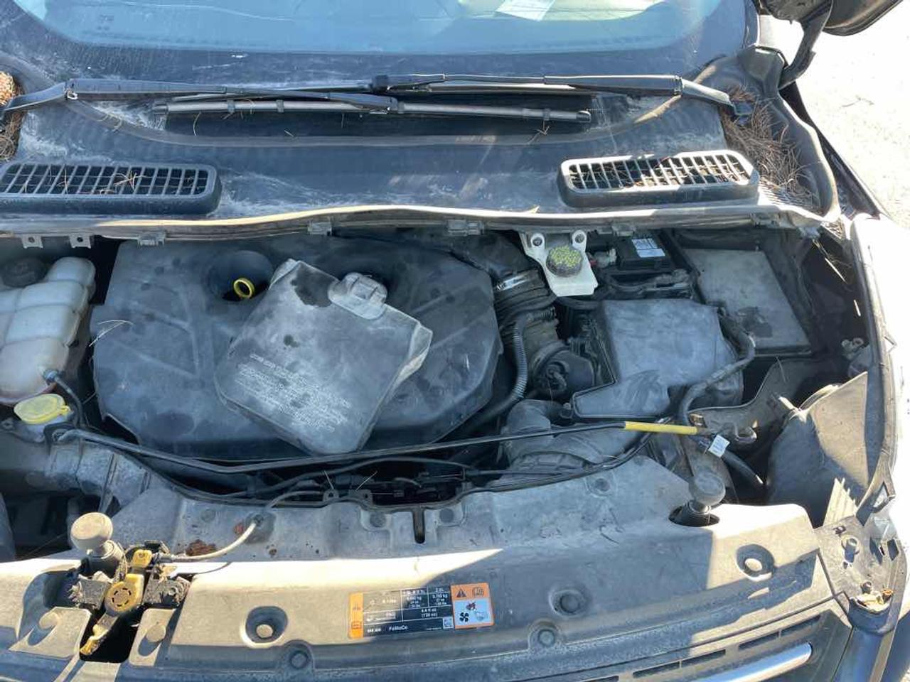 2015 Ford Escape SE Photo