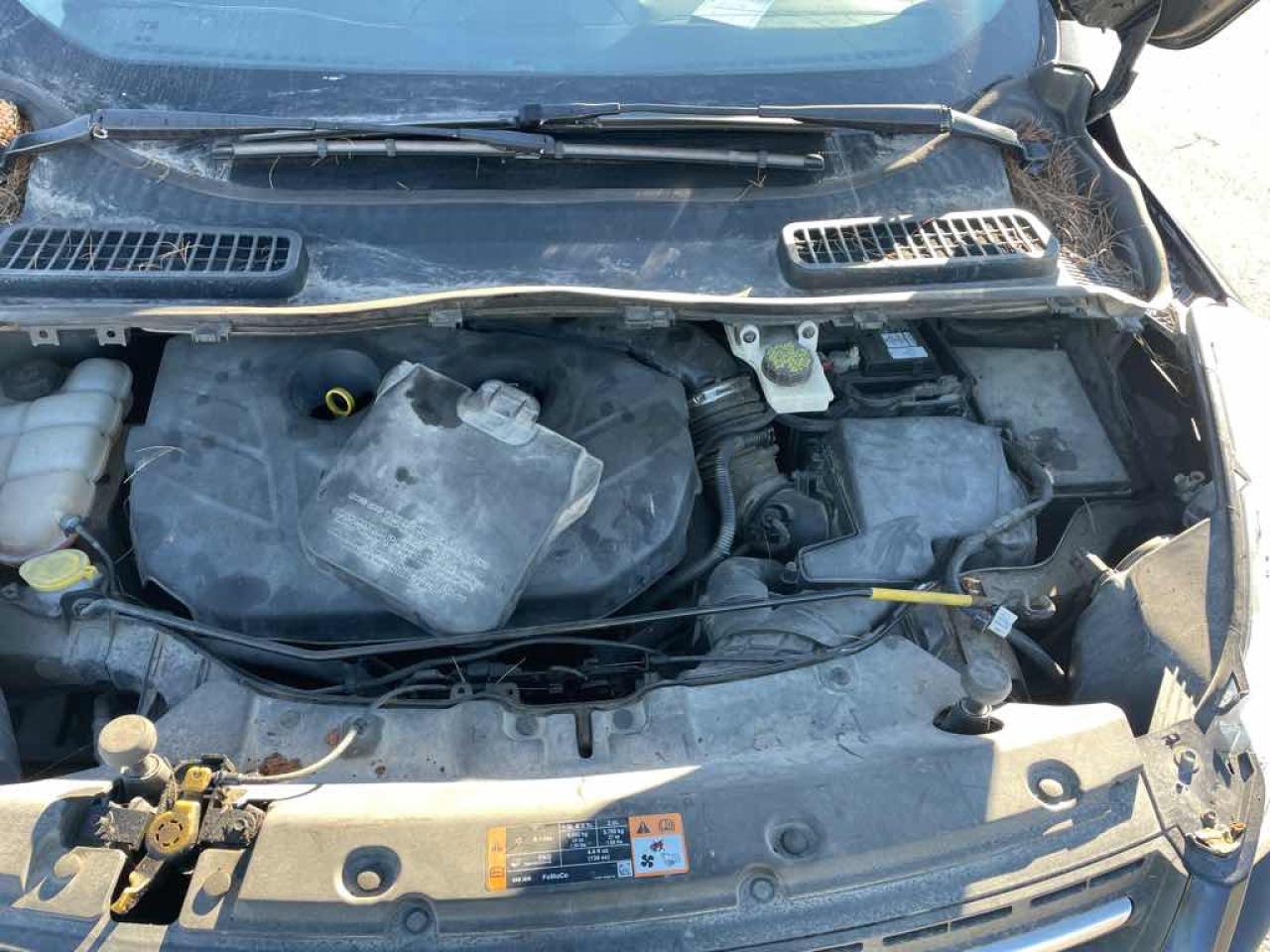 2015 Ford Escape SE Photo