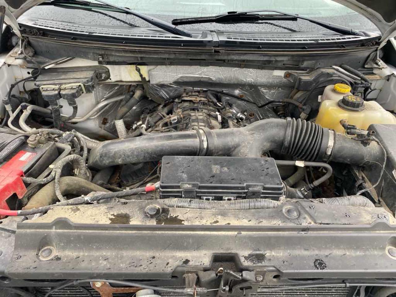 2013 Ford F-150 SUPERCREW - Photo #7