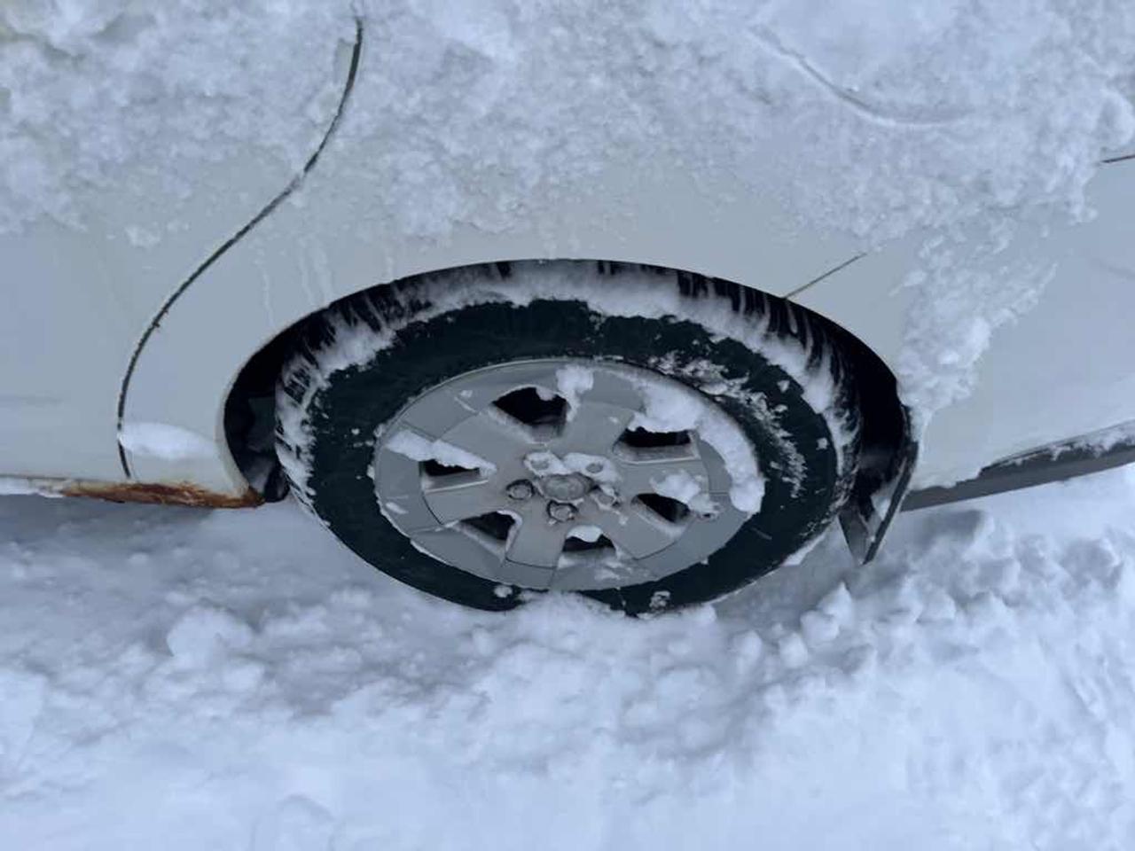 2009 Toyota Prius  Photo