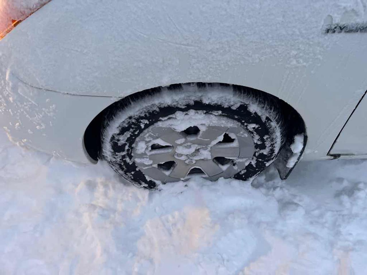 2009 Toyota Prius  Photo