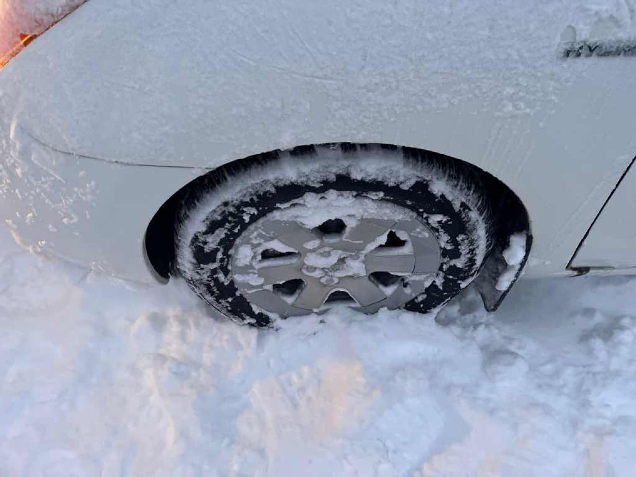 2009 Toyota Prius  Photo