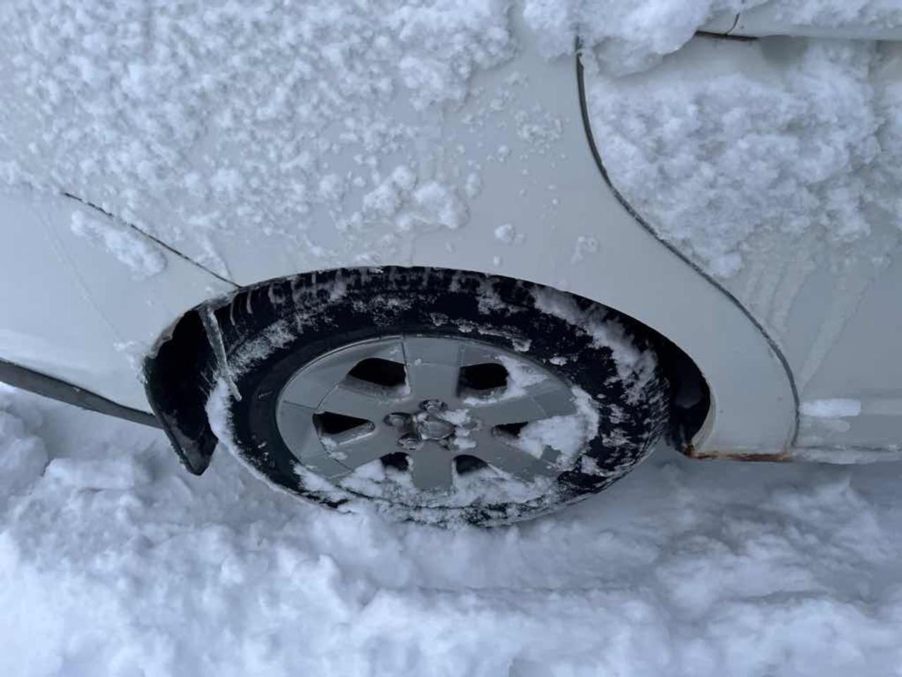 2009 Toyota Prius  Photo