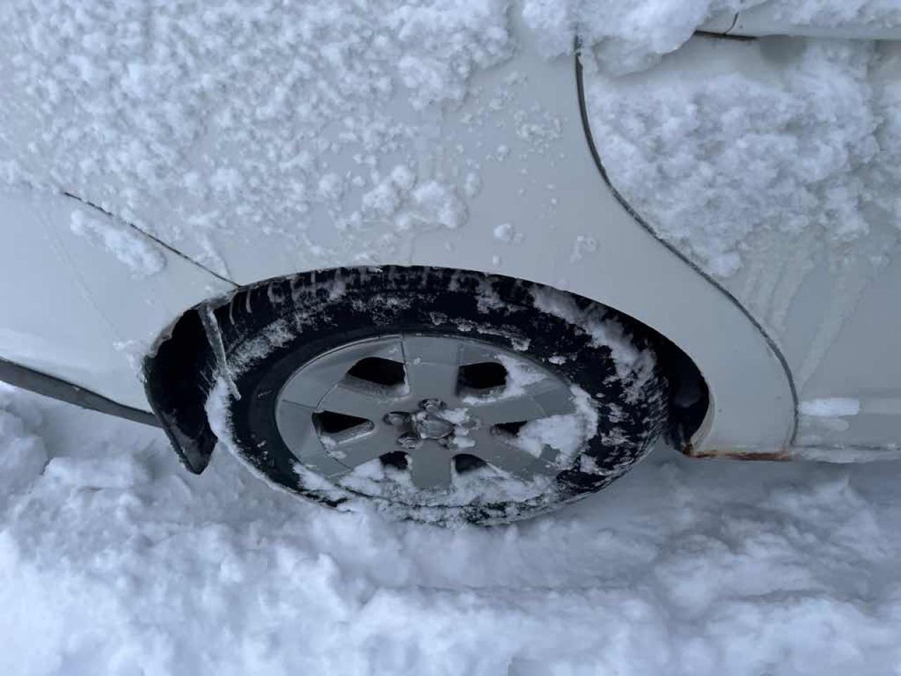 2009 Toyota Prius  Photo