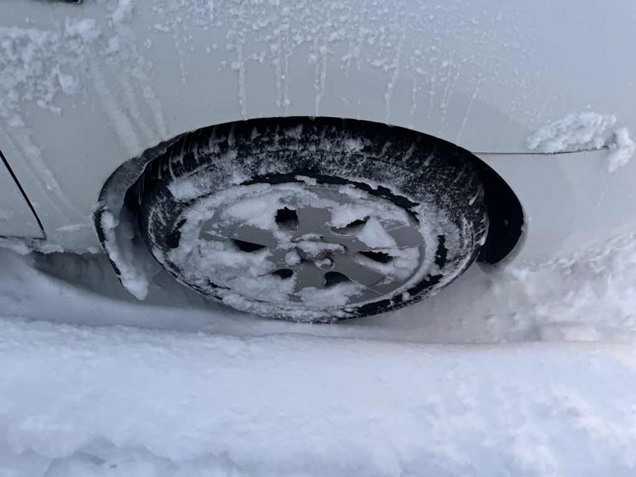 2009 Toyota Prius  Photo