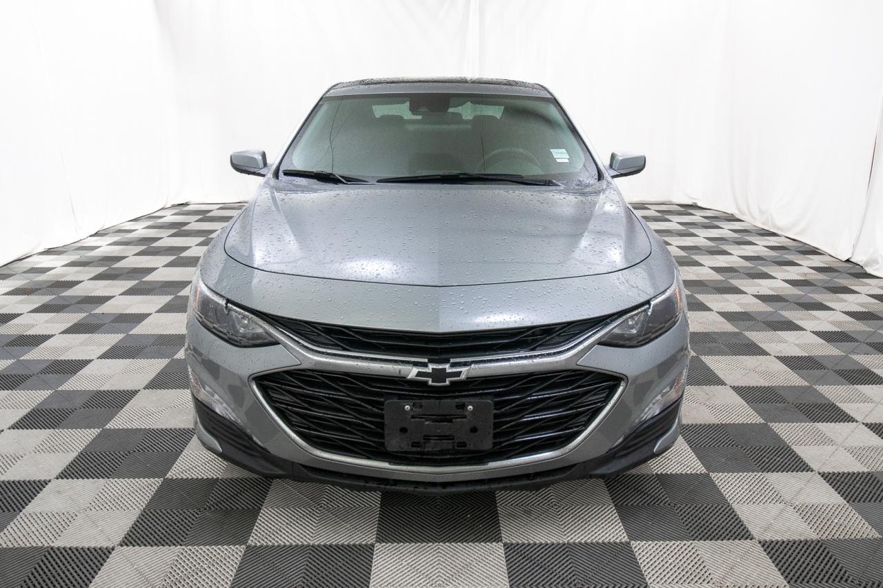 2023 Chevrolet Malibu 1LT Photo