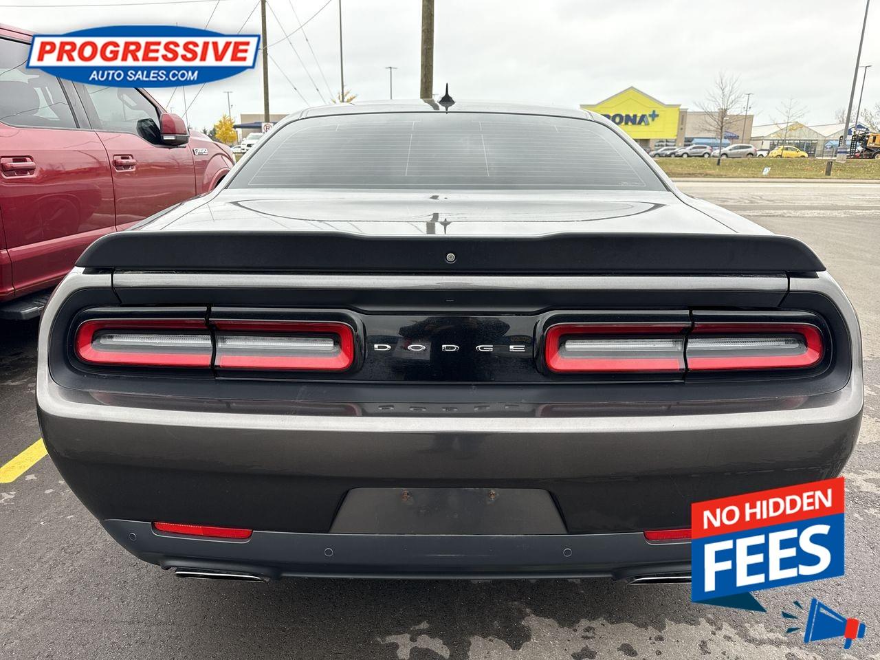 2019 Dodge Challenger R/T Photo