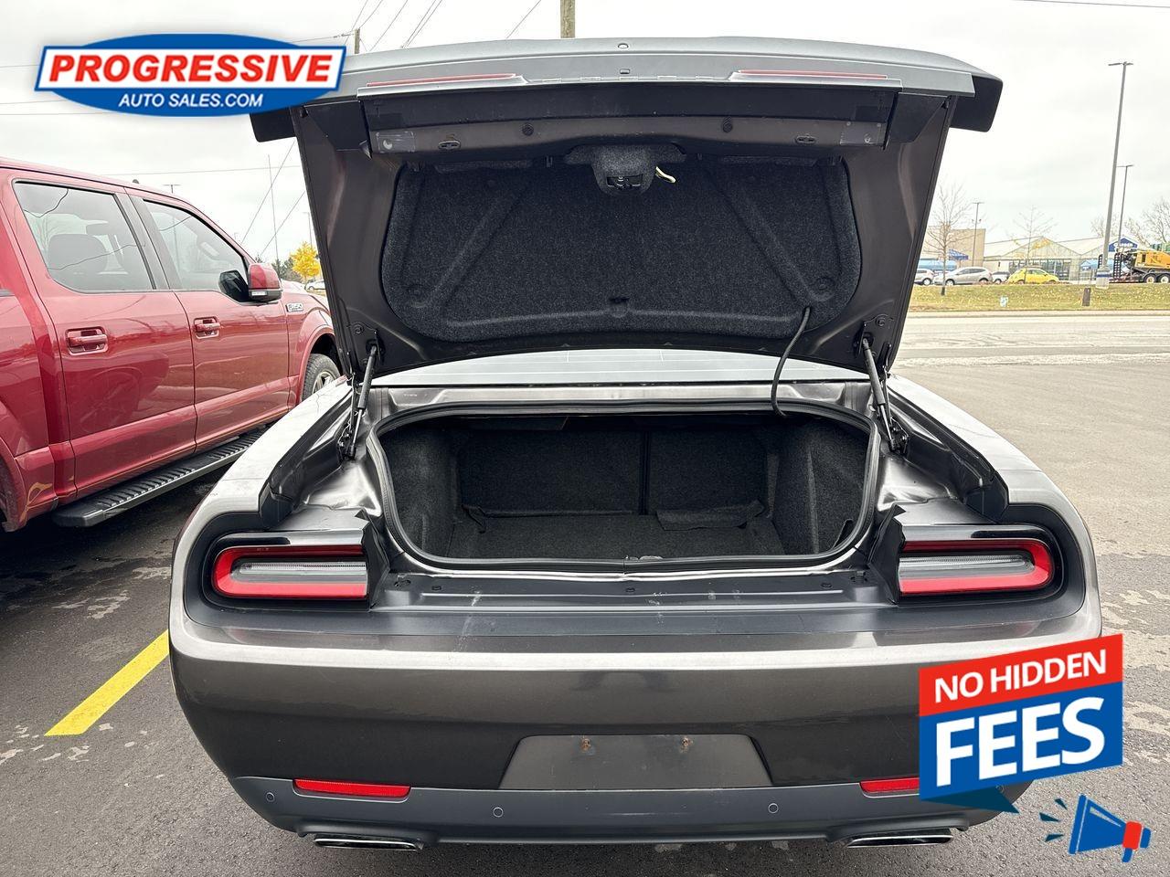 2019 Dodge Challenger R/T Photo