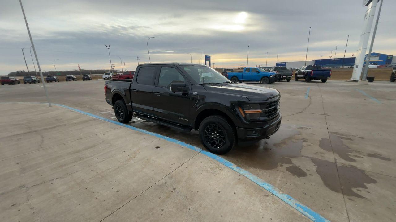 2025 Ford F-150 XLT 4WD SuperCrew 5.5' Box Photo1