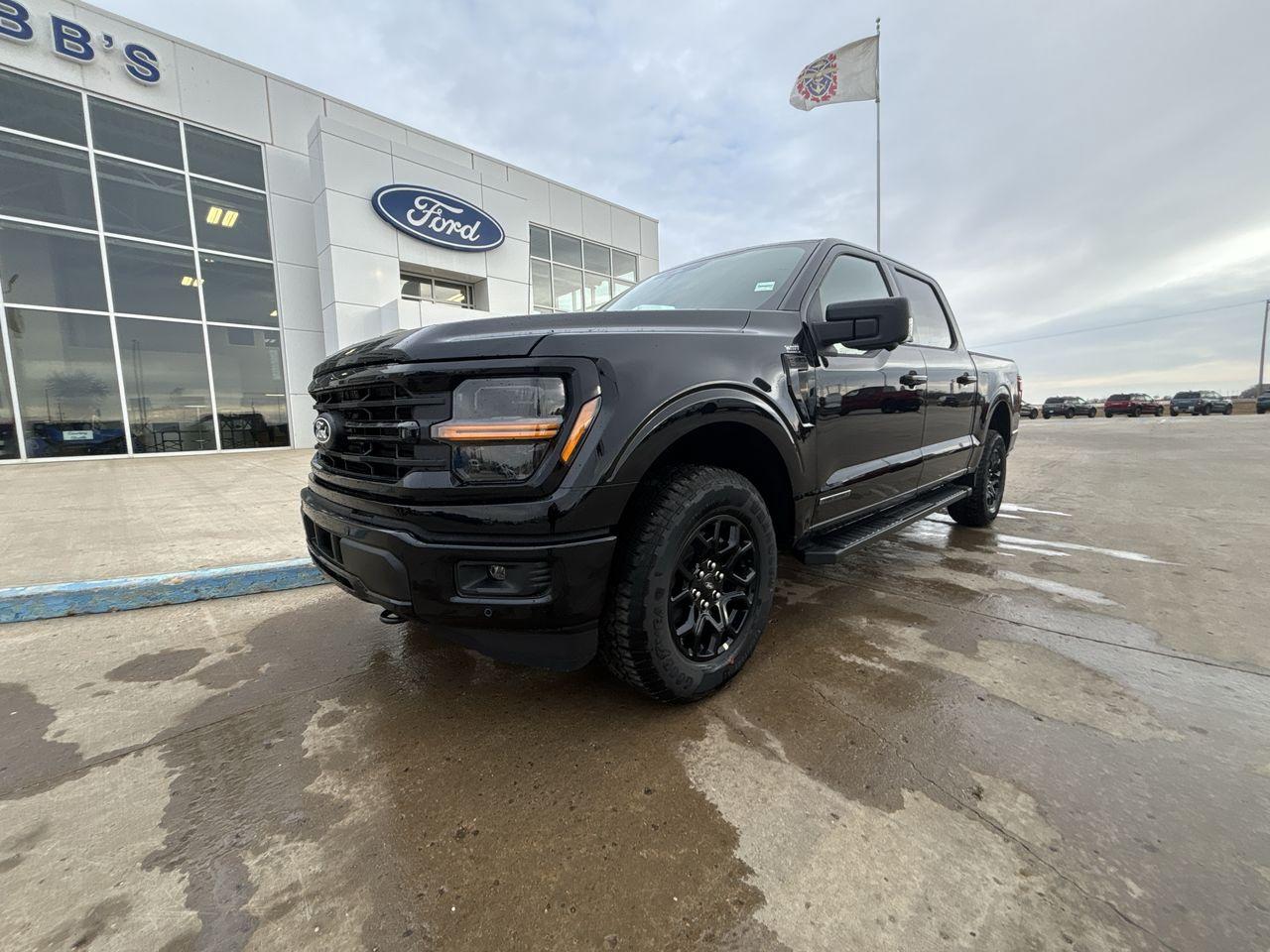New 2025 Ford F-150 XLT 4WD SuperCrew 5.5' Box for sale in Wainwright, AB