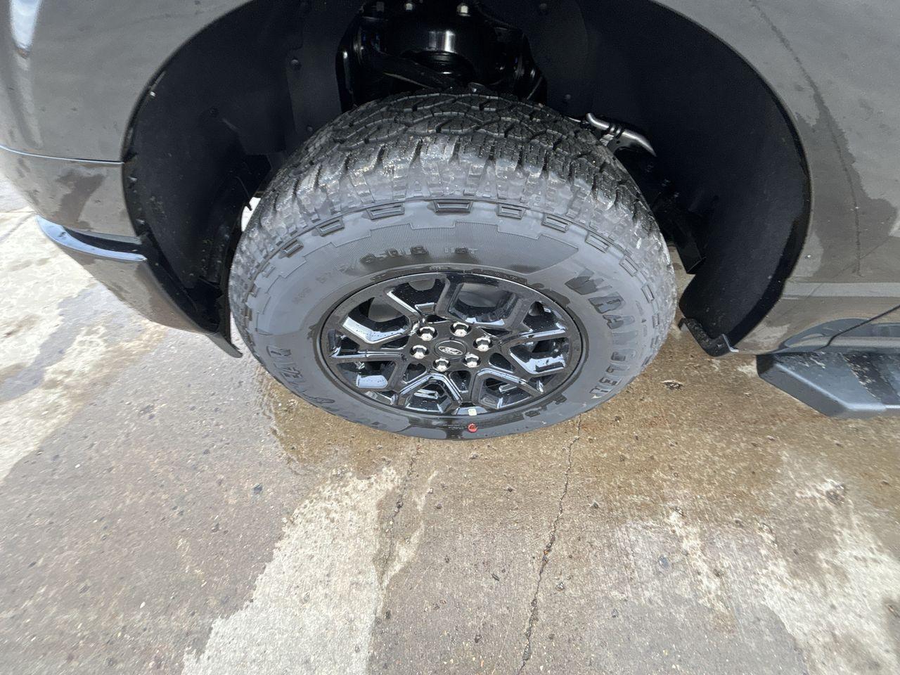 2025 Ford F-150 XLT 4WD SuperCrew 5.5' Box Photo5