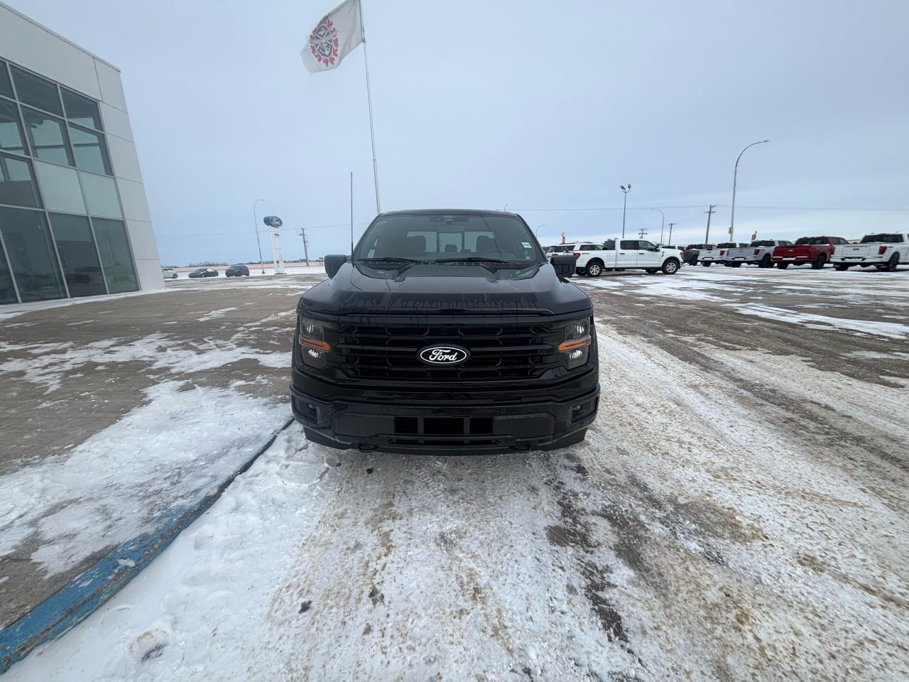 2025 Ford F-150 XLT 4WD SuperCrew 5.5' Box Photo4