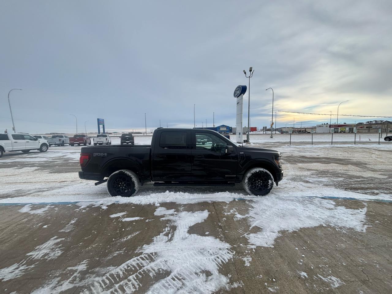 2025 Ford F-150 XLT 4WD SuperCrew 5.5' Box Photo3