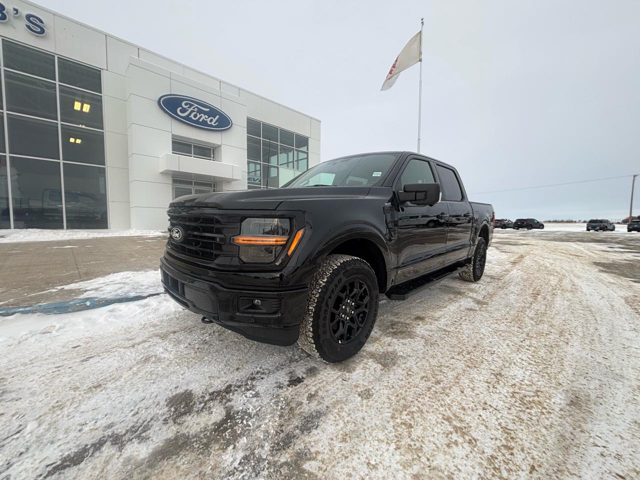 2025 Ford F-150 XLT 4WD SuperCrew 5.5' Box Photo0