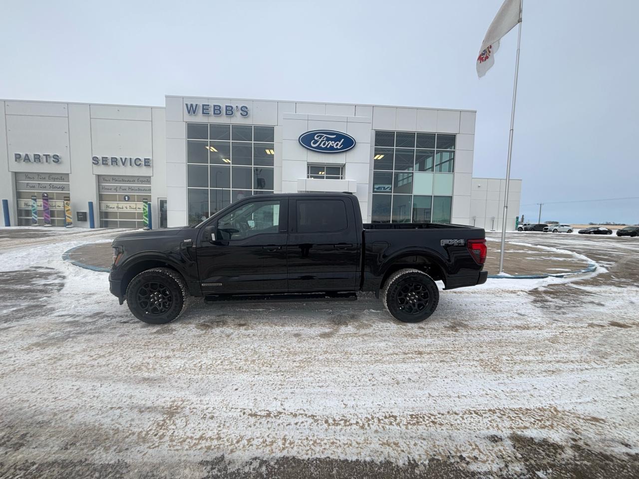 2025 Ford F-150 XLT 4WD SuperCrew 5.5' Box Photo1