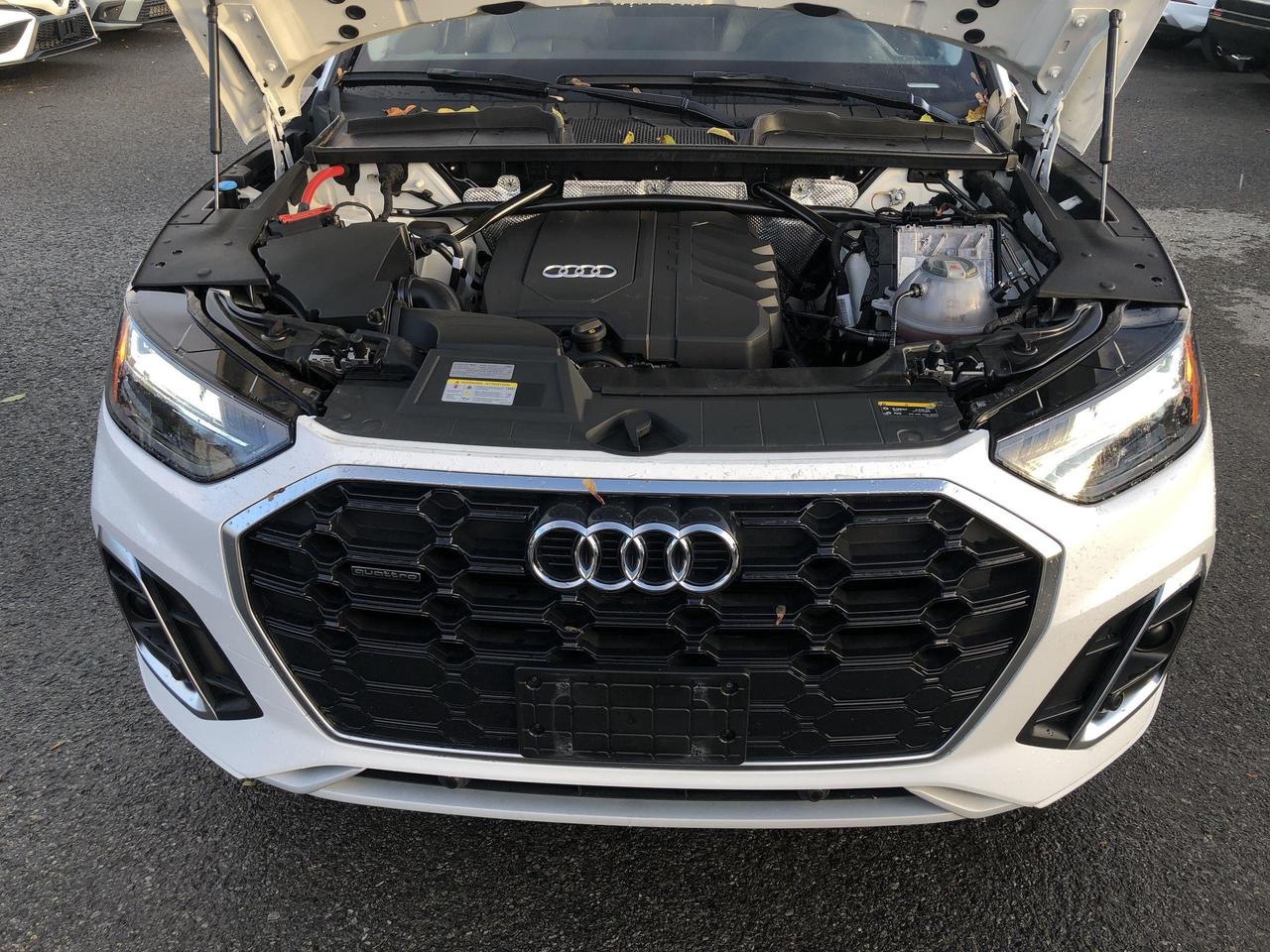 2024 Audi Q5 45 Progressiv LEATHER, PANO. ROOF, NAVI, ADAPTIVE Photo