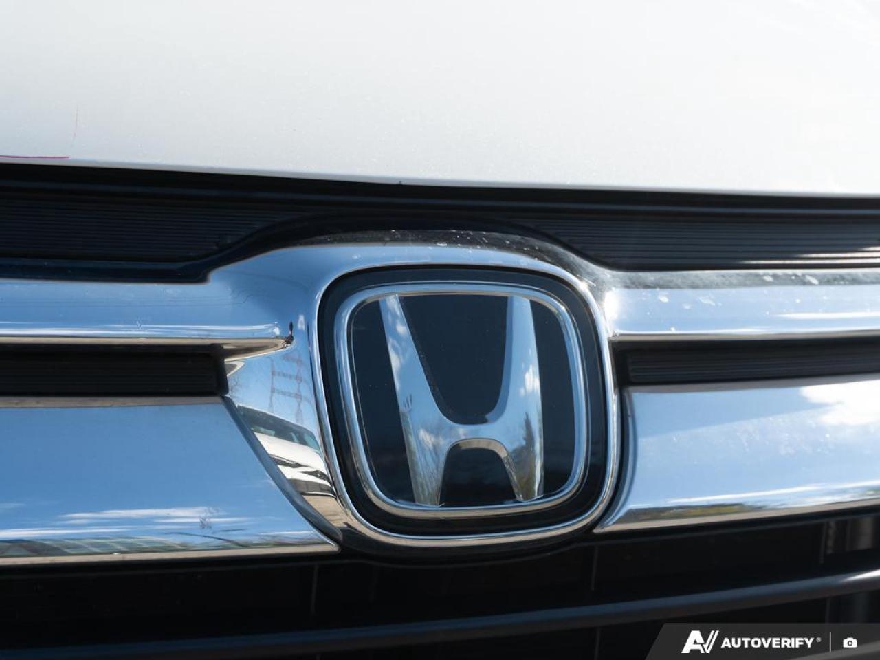 2020 Honda Odyssey  Photo