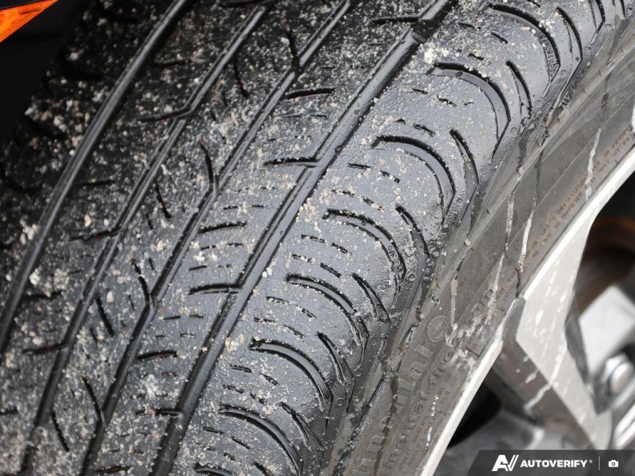 2021 Honda Civic SEDAN Photo