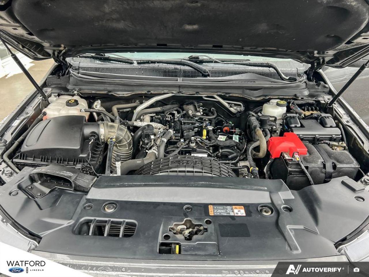 2019 Ford Ranger XLT 4WD SuperCrew 5' Box Photo