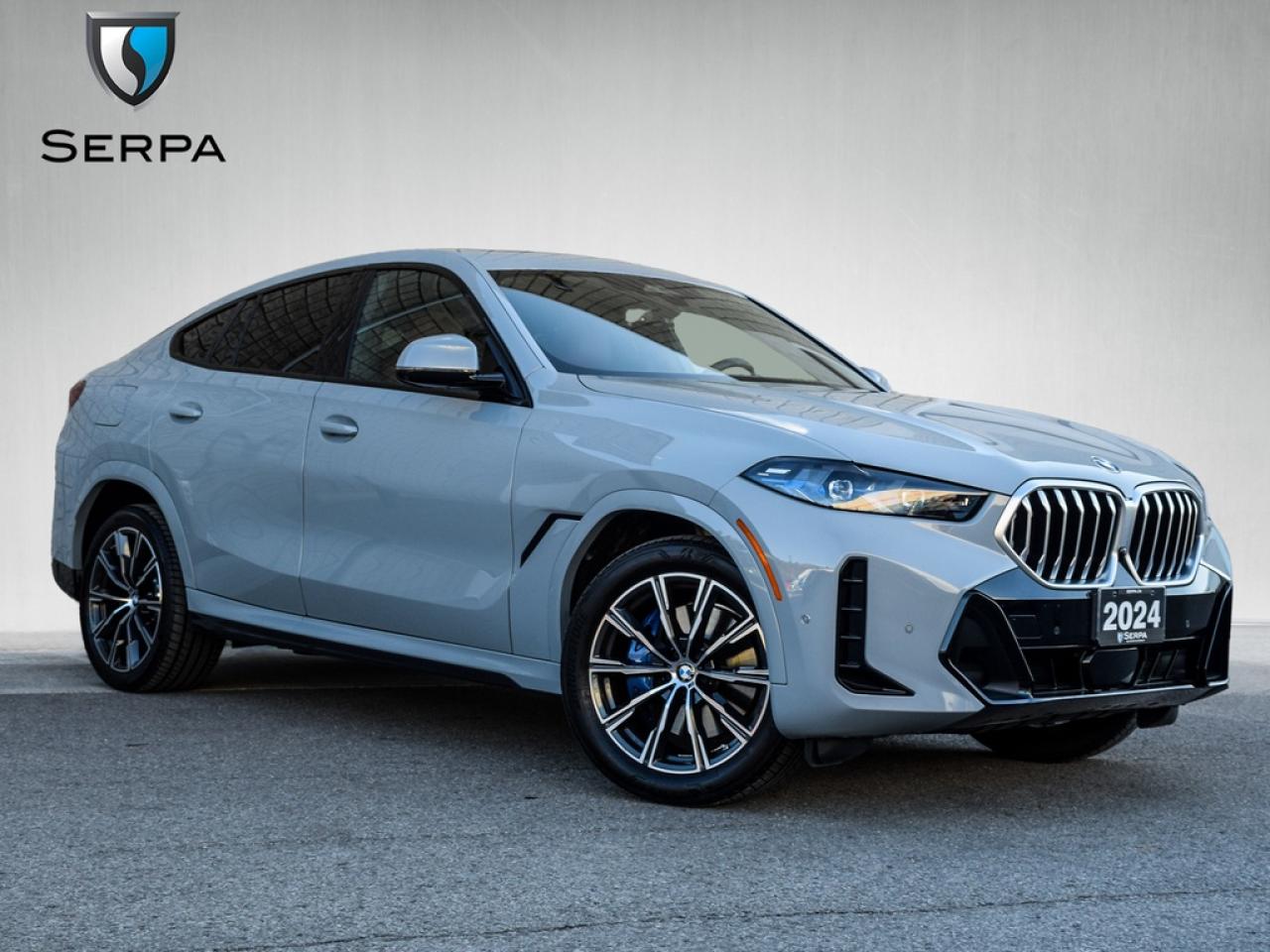 2025 BMW X6 xDrive40i Photo0