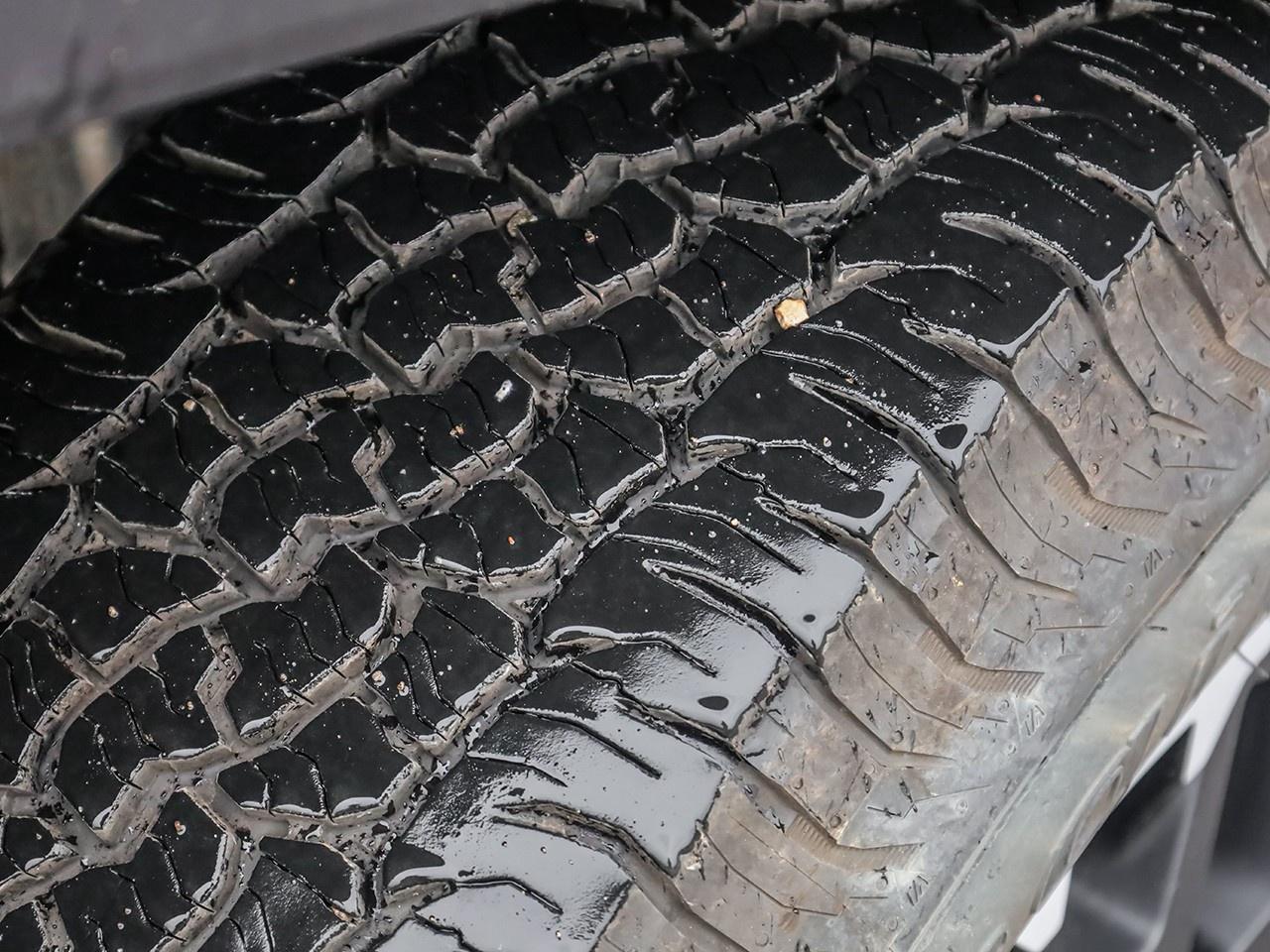 2024 Toyota Tacoma  Photo