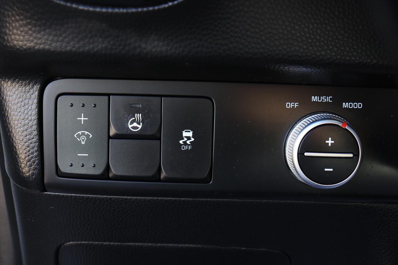 2019 Kia Soul SX Turbo | Leather | CarPlay | Alloys | Tinted ++ Photo58