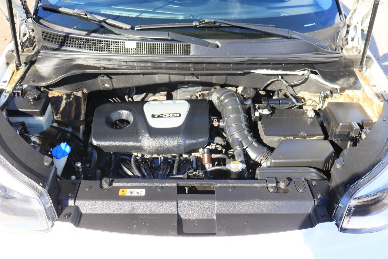 2019 Kia Soul SX Turbo | Leather | CarPlay | Alloys | Tinted ++ Photo