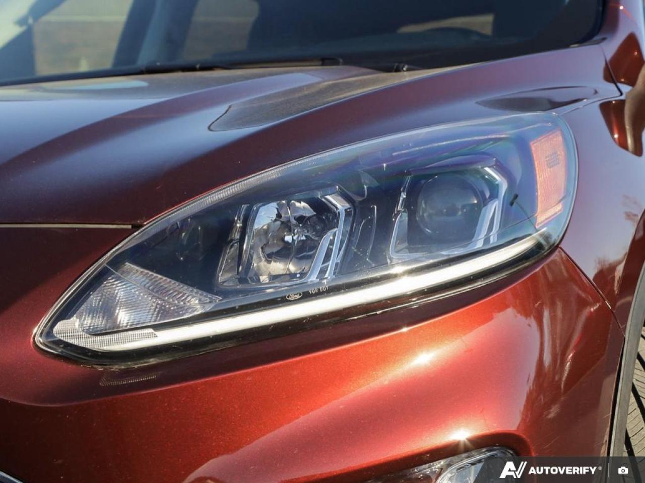 2021 Ford Escape SEL Photo